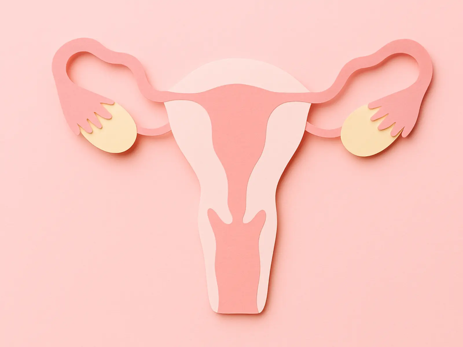 Ilustración en papel del aparato reproductor femenino sobre un fondo rosa pastel, mostrando útero, trompas de Falopio y ovarios.